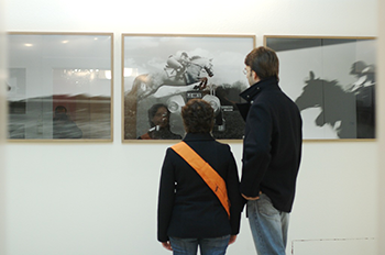 Ausstellungen